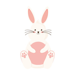 beauti rabbit seated