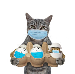 A gray cat in a face mask holds a carton package of eggs. A kitten hatched from one of them. White...