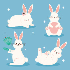 beauty four rabbits