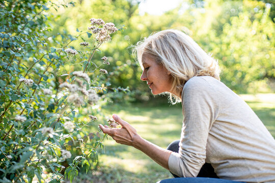 Smiling mature woman looking at flowers in backyard