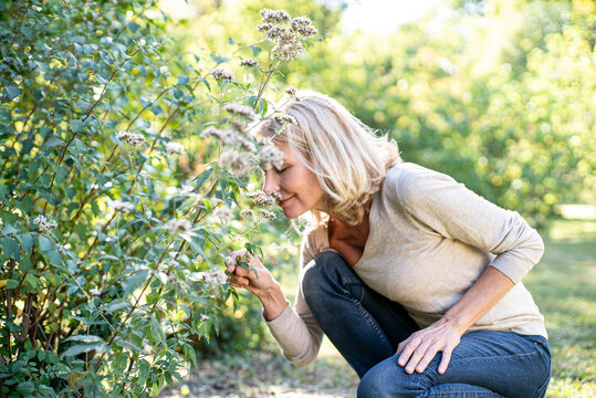Smiling mature woman smelling flowers in backyard