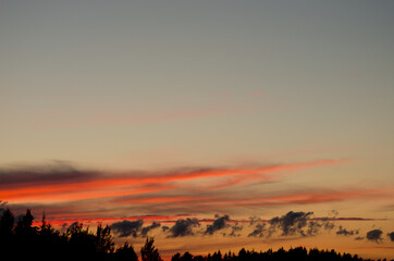 sunset over trees with bright orange stripes of clouds in the sky