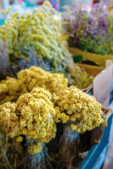 Bunches of grapes on the counter. Green, red bunches of ripe grapes are laid out on the counter of the farmers ' market. The fruit is ready for sale