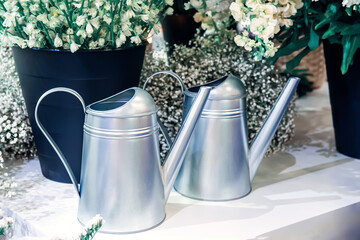 Garden metal watering cans are sold in the hardware store on the retail shelf. the concept of care...