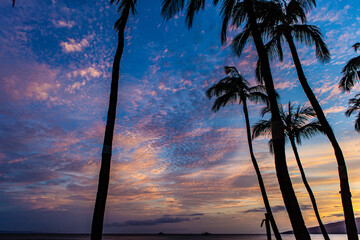 Palms and sky after dawn in Kihei/Maui.