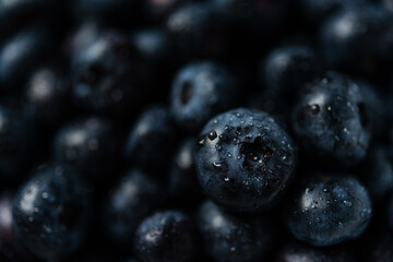 blueberries in a bowl