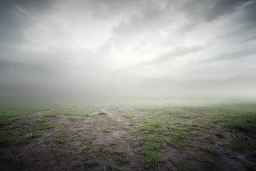 Beautiful grass background with mist and clouds