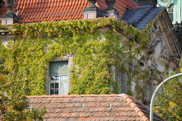 Potsdam Altstadt