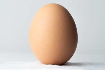 Easter egg standing on a cotton ball and on white background
