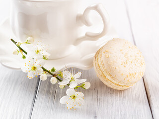Obraz na płótnie Canvas Closeup of beige macaroon and spring cherry blossom flowers against white elegant teacup on a white wooden table. Sweet breakfast with delicious almond meringue cookies. High key image.