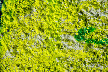 texture of a green  salat wall covered with with torn old paper and plaster, style grunge, space for text, space for copy