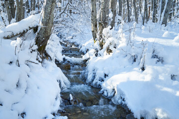 Fototapeta na wymiar Mountain river in the winter forest.