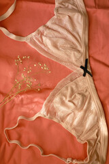 Lace bralette and gypsophila flowers on pink background. Top view.