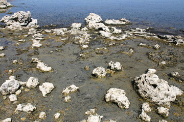 Tufa in Mono Lake, California, Landscape Owens Valley Beginning to form Pinnacles due to the...