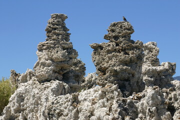 Tufa Volcanic Column Formation in Mono Lake, California, in the Owens Valley, Where Vulcanism below...