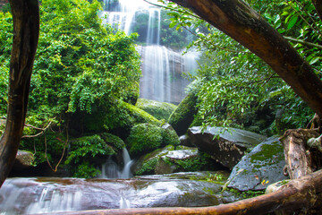 waterfall in the forest