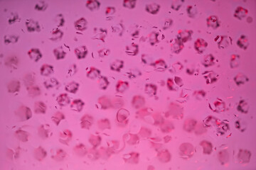 Multicolored elements for abstract design background.