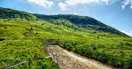 mountain trail to Tarnica. Bieszczady, Poland