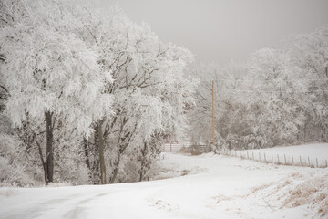 snow covered road in winter