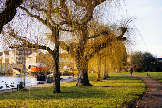 autumn in the Peterborough city park in United Kingdom