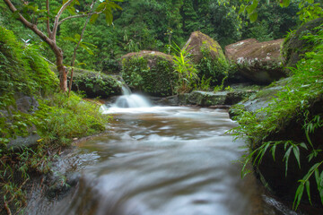 small waterfall in the forest