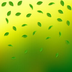 Falling green leaves. Fresh tea random leaves flyi