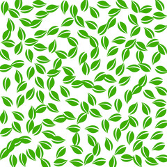 Falling green leaves. Fresh tea random leaves flyi