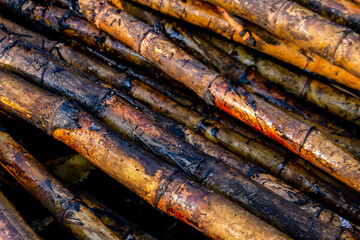 pile sugarcane burned in the harvest season, sugar cane fresh, sugarcane burn in field, sugar cane burned in plantation