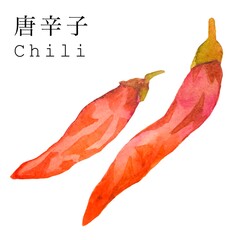 red hot chili peppers　唐辛子の水彩イラスト　薬味　スパイスカットイラスト