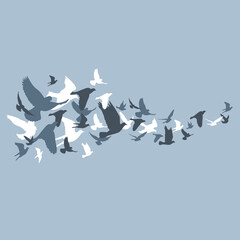 Silhouettes of flying birds, vector illustration. stock illustration. Abstract, Admiration, Animal, Animal Body Part, Animal Wing