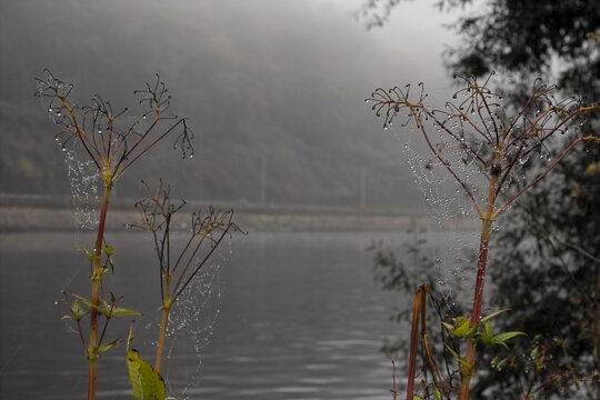 herstlicher Morgen am Ufer der Ruhr mit Nebel, M&uuml;lheim an der Ruhr