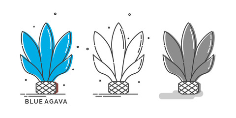 Blue agave plant for distill tequila. Isolated logo on white background. Three kinds flat style image of agricultural product with text caption. Line art design in thin dashed lines