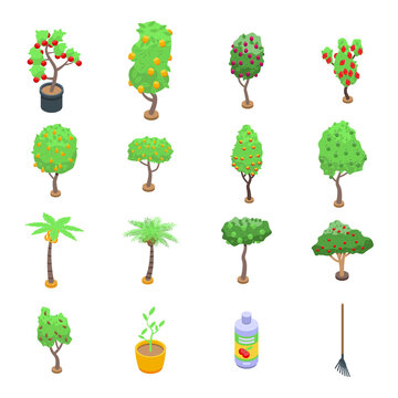 Fruit tree icons set. Isometric set of fruit tree vector icons for web design isolated on white background