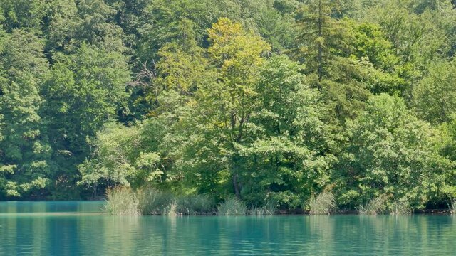 view of lake Kozjak from the electric ferry at Plitvice lakes