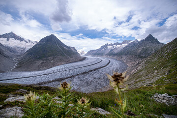 Aletsch Gletscher, Kanton Wallis, Berner Alpen, Schweiz 