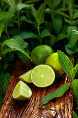Wet growing mint in the garden and limes.