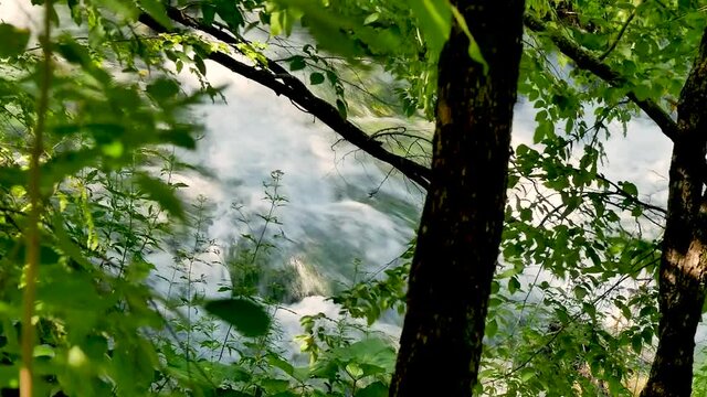 Plants and waterfall close-up of Plitvice Lakes National Park in Croatia.