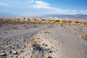 Death Valley National Park in California, USA