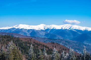 Snowy mountain range in Romanian Carpathians near Brasov