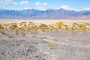 Death Valley National Park in California, USA