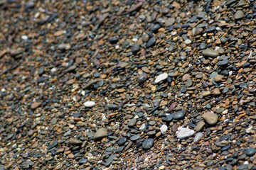pebbles on the beach