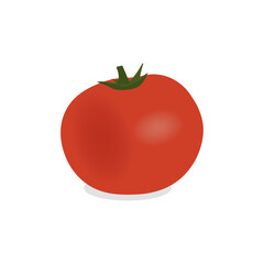 Big ripe red fresh tomato