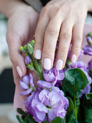 Fototapeta premium Beautiful female hands with a simple nude manicure hold a beautiful flower of blossoming mattiola