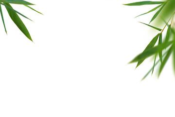 Fototapeta na wymiar Bamboo green fresh leaves. Corners kit on white background