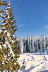paysage ensoleillé du Jura en hiver 