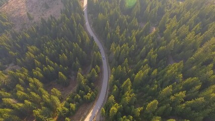 Aerial view flying over old patched two lane forest road with car moving green trees of dense woods growing both sides. Car driving along the forest road.  Car driving through pine forest. Top view 