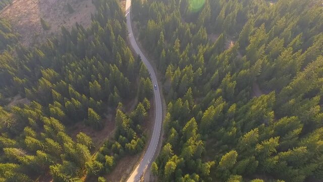 Aerial view flying over old patched two lane forest road with car moving green trees of dense woods growing both sides. Car driving along the forest road.  Car driving through pine forest. Top view 
