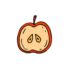 Half an apple. Fruit. Healthy food. Eco. Vector illustration. Freehand drawing. Doodle.