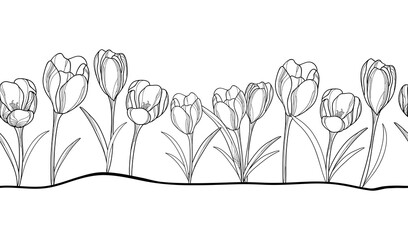 Horizontal seamless pattern with outline crocus or saffron flower and leaves in black on the white background.