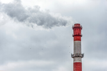 smoke from chimney / steam from the pipe